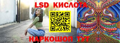 гидра Будённовск