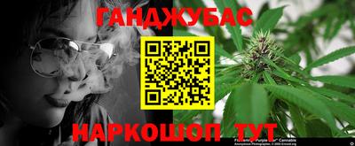 гидра Будённовск